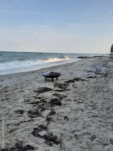 Meer Strand Fauna Ostsee