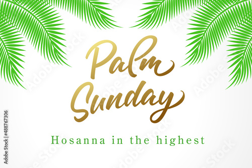 Palm Sunday, Hosanna in the highest. Christian greeting card with calligraphy and palm leaves. Bible vector illustration