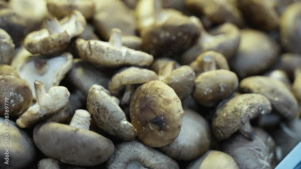 Close-up of fresh mushrooms on display at the supermarket. Close-up of fresh mushrooms on display at the supermarket.