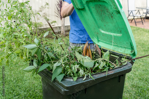 Green bin container filled with garden waste. Recycling garbage for a better environment. photo