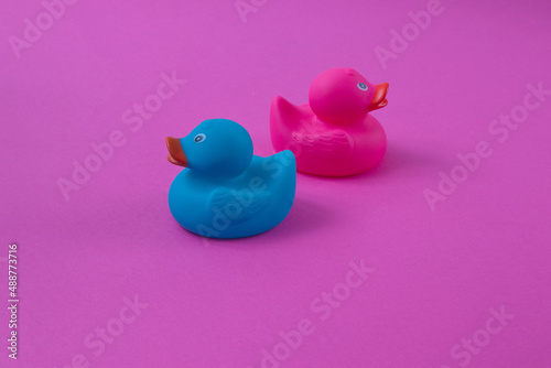 Two ducks pink and blue next to each other in opposite directions sacopy space on a purple background. Minimal flat lay scene. photo