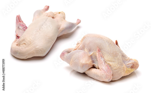 Raw chicken, duck  isolated on white background 