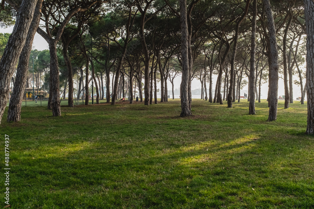 Landscape, Visiting Venice in Italy