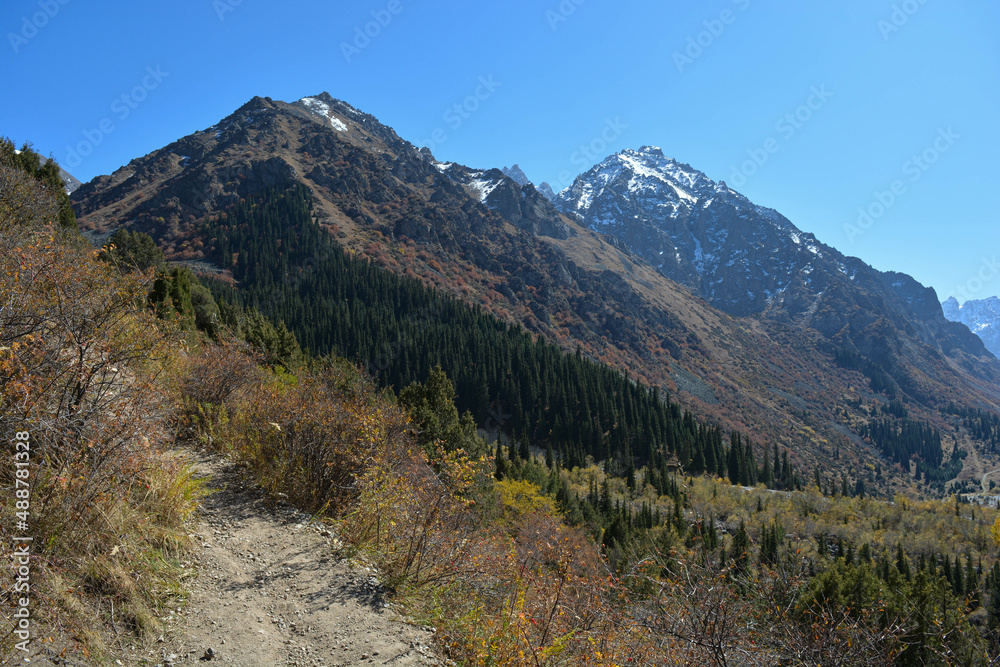 landscape in autumn mountain peaks with blu sky with snow with forest in central asia kyrgyzstan