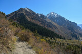 landscape in autumn mountain peaks with blu sky with snow with forest in central asia kyrgyzstan