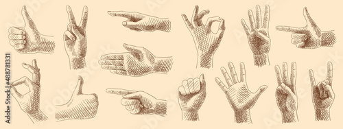 Sketches collection of hand gestures, signs and symbols using fingers. Vintage images, hand-drawn, vector. Gestures: pointer, class, o'key, peace, cool, one, two, three, four, five.