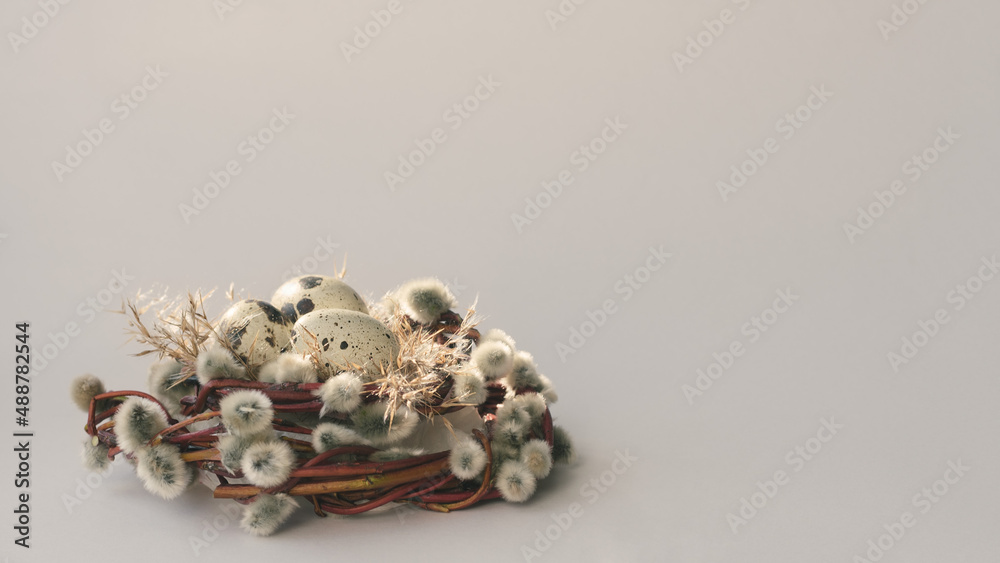 Easter background. Quail eggs inside a nest of willow branches. Happy easter. spring concept Easter background. Quail eggs inside a nest of willow branches. Happy easter. spring concept