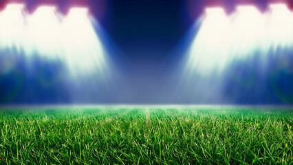Perspective of football field. Football stadium with white lines marking the pitch. Perspective elements.Ragby football field with white lines marking the pitch. 3d illustration.