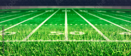 Perspective of football field. Football stadium with white lines marking the pitch. Perspective elements.Ragby football field with white lines marking the pitch. 3d illustration.