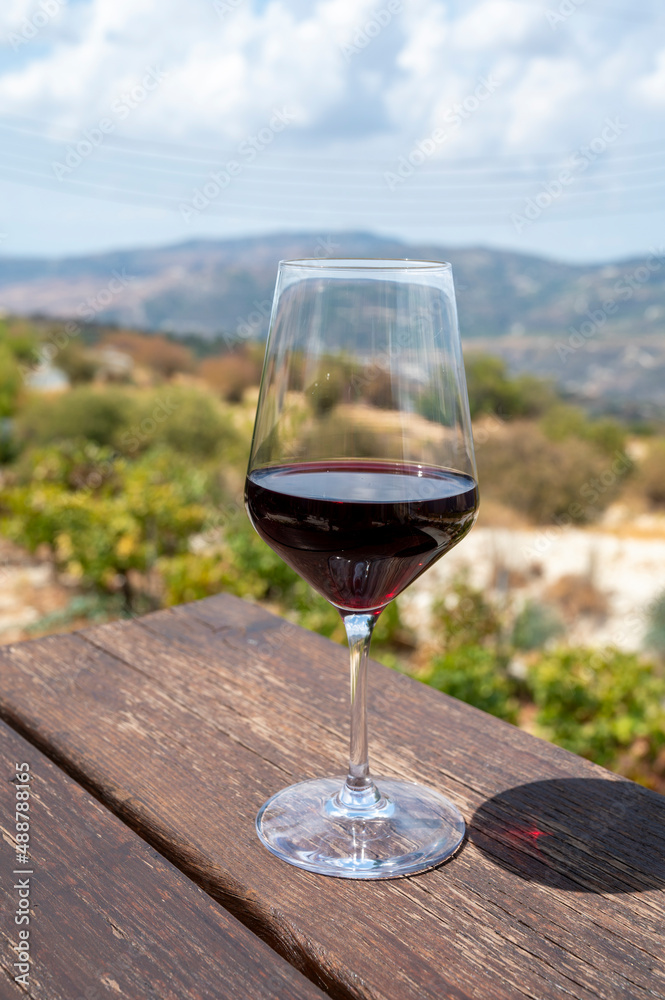 Wine industry of Cyprus island, tasting of red dry wine on winery with view on vineyards and south slopes of Troodos mountain range.