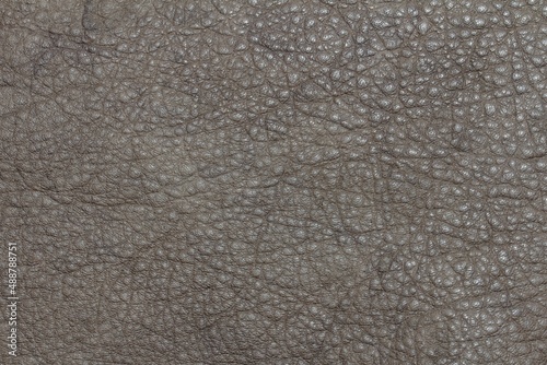 calfskin texture