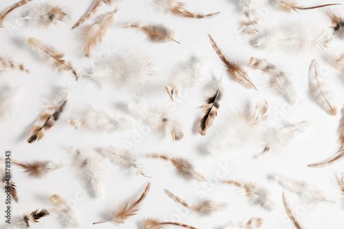 Feathers on white background. Easter holiday concept. Feathers as background. Flat lay  top view  copy space