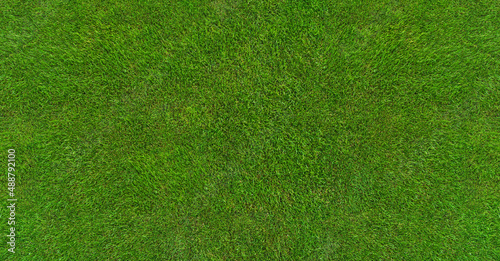 green grass texture - well-groomed turf in the garden