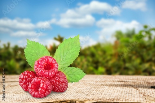 Fresh red raspberries with green leaf photo