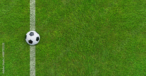 Fototapeta Naklejka Na Ścianę i Meble -  green grass texture - well-groomed turf in the garden
