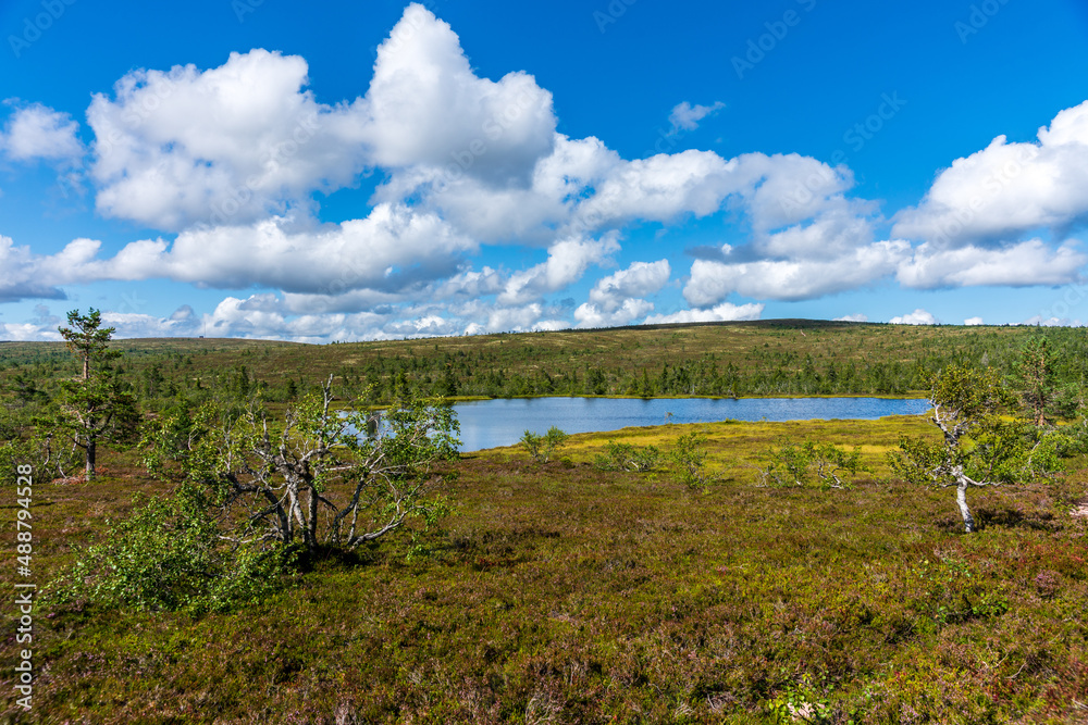 Summer view from the vastness of the Swedish highlands