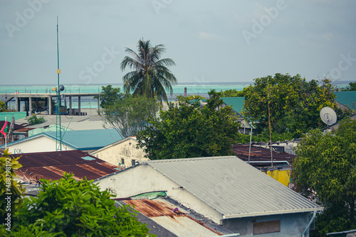 Aerial view of Gulhi island, houses and trees from above, Maldives