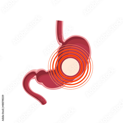 stomach with pain icon on white Vector illustration