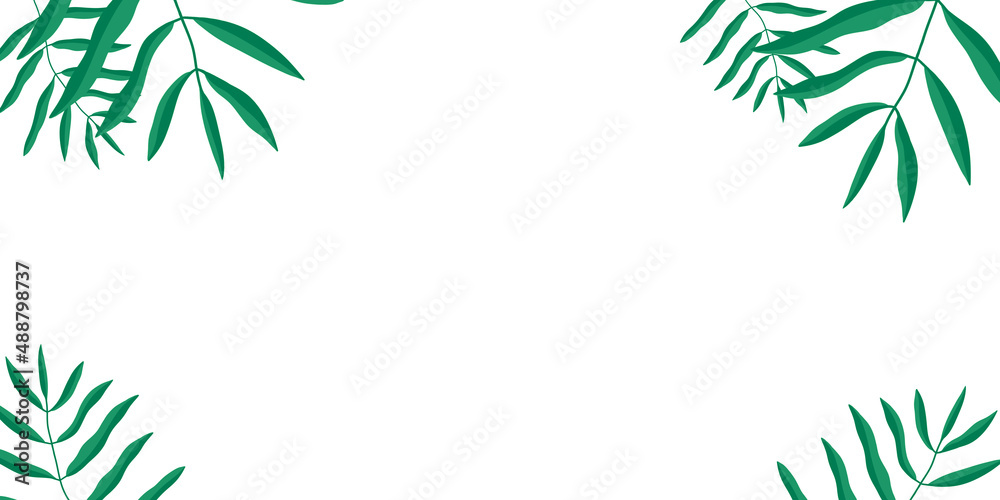 bamboo frame on white bamboo frame on white