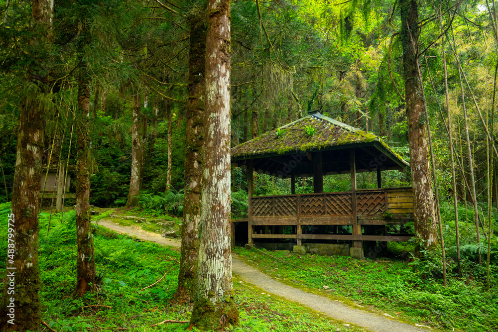 Taiwan, Yilan County, forests, mountain lakes, Mingchi, forests, pavilions for relaxation Taiwan, Yilan County, forests, mountain lakes, Mingchi, forests, pavilions for relaxation