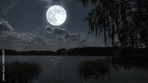 Full moon night landscape with forest lake.
