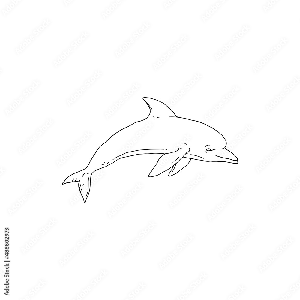 Obraz premium Dolphin jumping playful aquatic animal black white sketch line doodle vector Illustration.