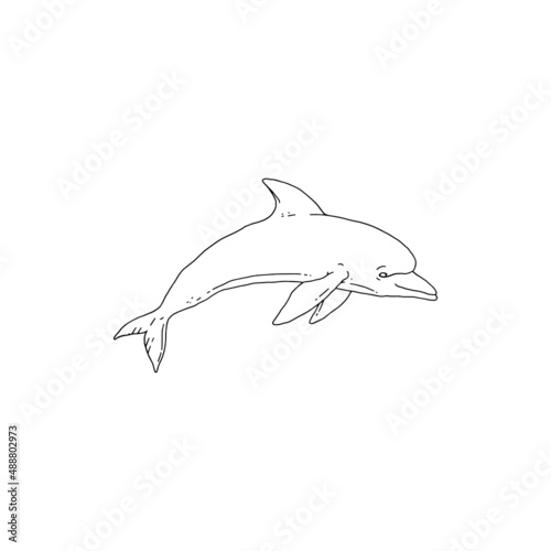 Dolphin jumping playful aquatic animal black white sketch line doodle vector Illustration.
