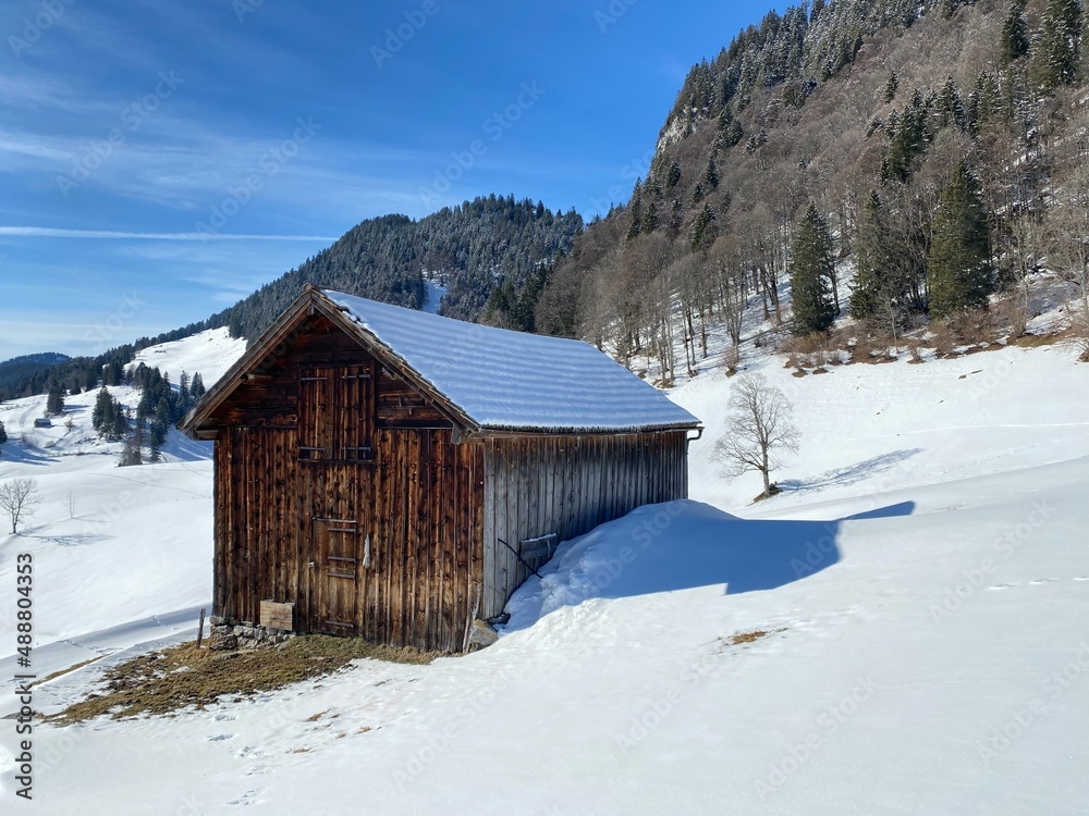 Indigenous alpine huts and wooden cattle stables on Swiss pastures covered with fresh white snow cover, Alt St. Johann - Obertoggenburg, Switzerland (Schweiz)