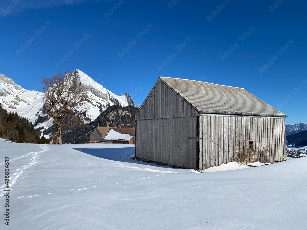 Indigenous alpine huts and wooden cattle stables on Swiss pastures covered with fresh white snow cover, Alt St. Johann - Obertoggenburg, Switzerland (Schweiz)