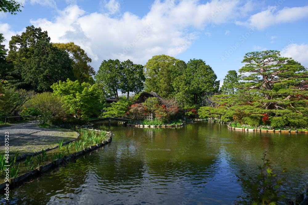 梅宮大社の春の庭園風景