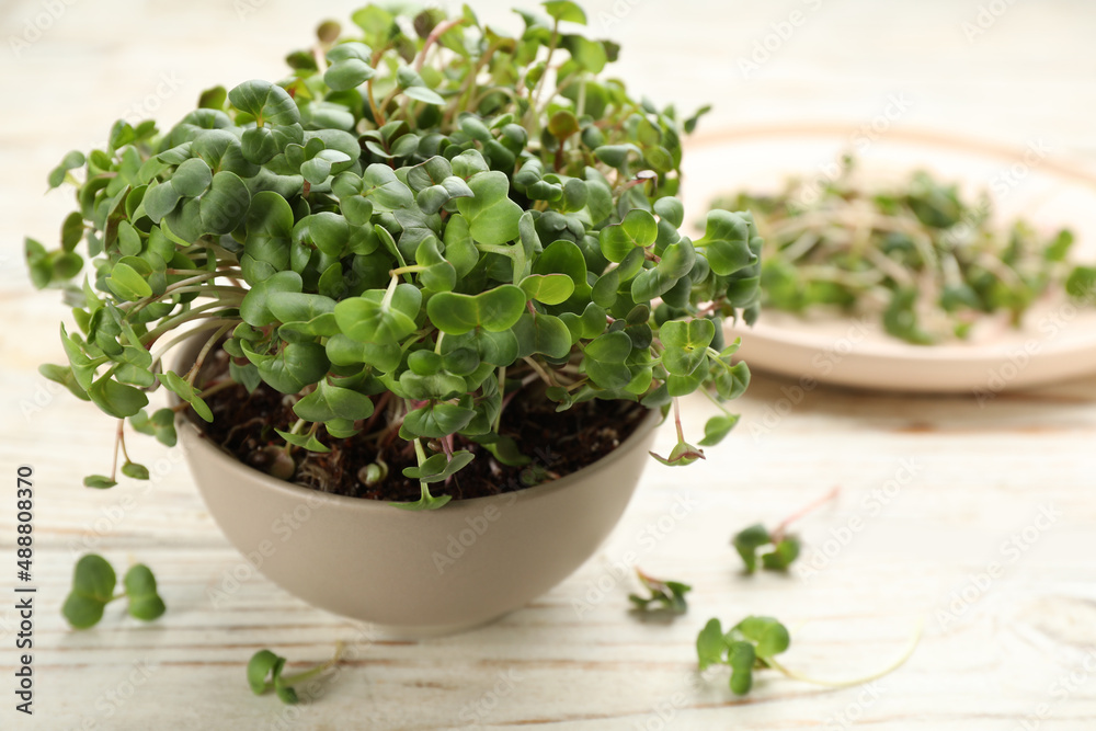 Fresh radish microgreens in bowl on white wooden table, space for text