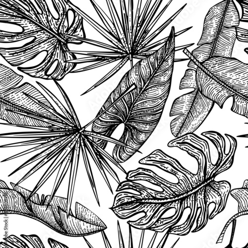 Tropical leaves seamless pattern. Vintage foliage banana, monstera,fan palm in engraving style.
