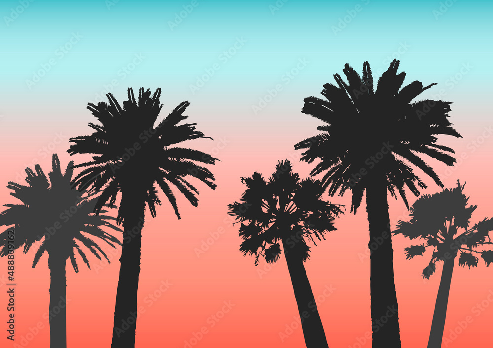 Palm trees silhouettes on sunset sky background for summer design