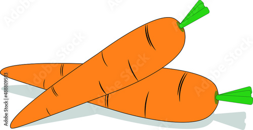 Illustration of carrots isolated on white background