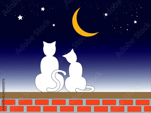 Cats on the rooftop look away to the moon and stars