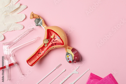 Gynecological examination kit and anatomical uterus model on pink background, flat lay. Space for text