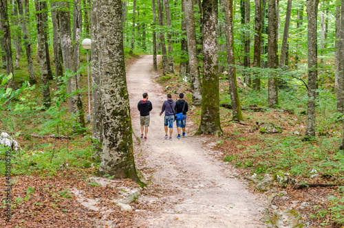 Tree Friends Walking on the Winding Footpath through the Beautiful Green Beech Forest. People Follow the Dirt Road to the National Park of Plitvice Lakes in Croatia.