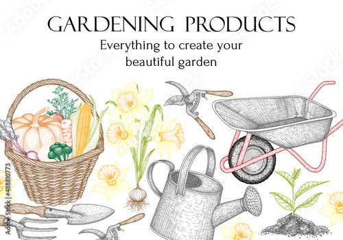 Vector banner template for gardening. Graphic linear watering can, garden rake and shovel, sprout in the soil, daffodil flower seedling, basket with harvest, pruner, garden wheelbarrow photo