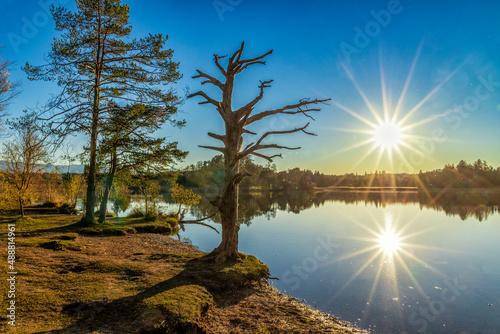 Abends am Fohn-See - Osterseen in Oberbayern photo