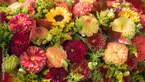 background with colorful autumn flowers, red and orange dahlias and green solidago