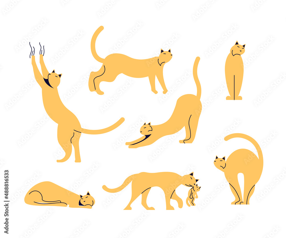 Set of funny cats isolated on white