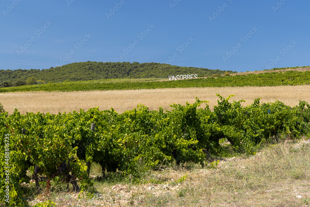 Typical vineyard near Vinsobres, Cotes du Rhone, France