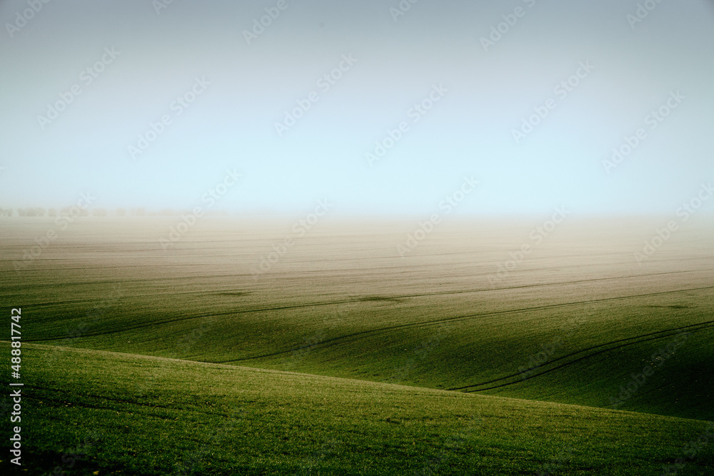 Obraz premium a foggy morning