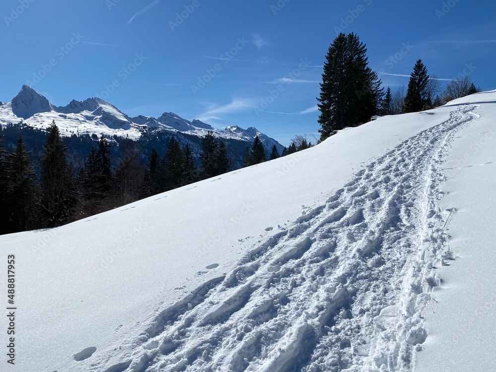 Wonderful winter hiking trails and traces on the slopes of the Alpstein mountain range and in the fresh alpine snow cover of the Swiss Alps - Alt St. Johann, Switzerland (Schweiz)