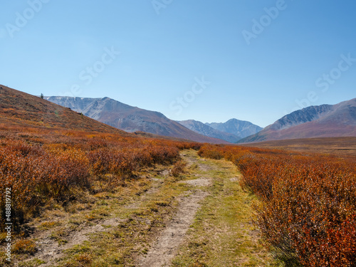 Dirt road through the autumn mountain plateau. Rough dirt road leading through orange autumn fields into mountains beyond under blue sky. © sablinstanislav