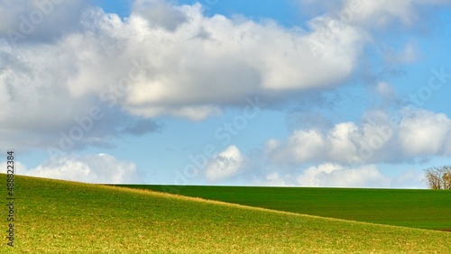 Green field to the horizon and blue sky with clouds