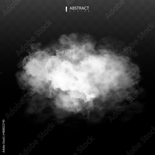 Fog or smoke isolated transparent special effect. White vector cloudiness, mist or smog background. Vector illustration © poppystyle