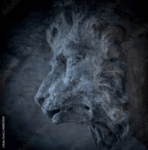 Fragment of an ancient stone statue of the head of Lycan Werewolf.