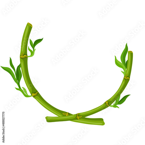 Frame with green bamboo stems and leaves. Decorative exotic plants of jungle tropic jungle.