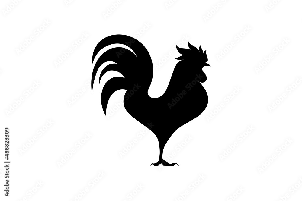 Fototapeta premium Rooster silhouette icon. Male cock side view. Poultry cock vector.